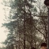 Арсен Джумагулов