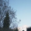 Usman Umarali